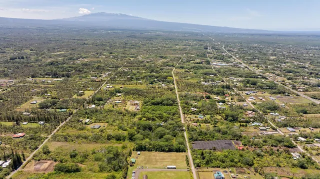an aerial view of residential houses with city view