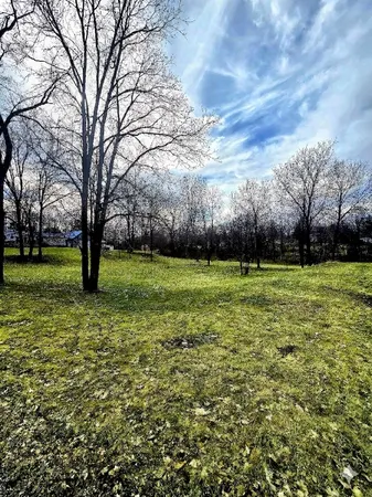 $12,000 | Tbd McPherson Street, Stanton, MI 48888