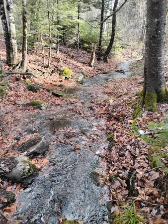 $234,500 | 511 Kingman Road, Kingman, ME 04451