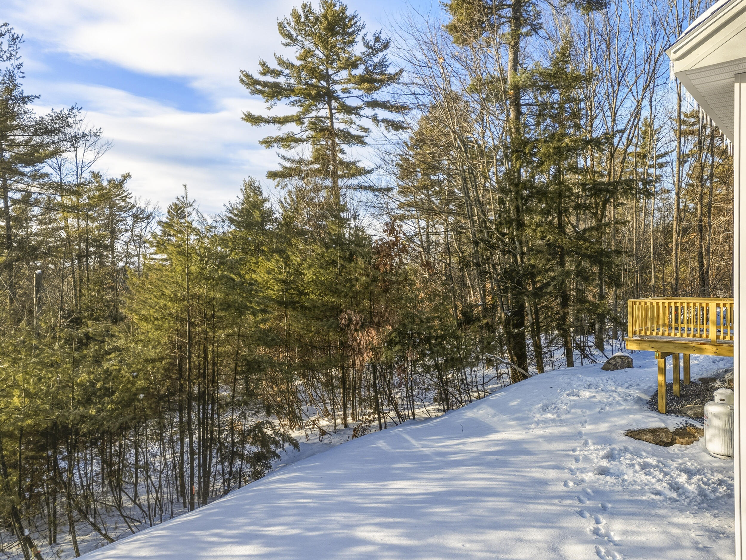 1178 Meadow Road Casco, ME 04015 - Photo 52 of 58 1178meadow-52