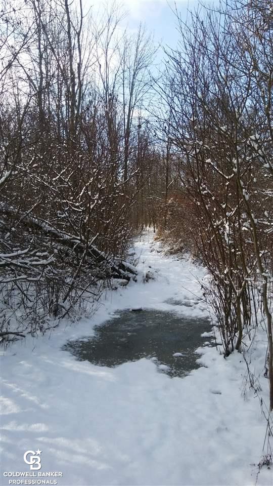 8841 Yale Road Avoca, MI 48006 - Photo 13 of 17 This is a view of the trails.