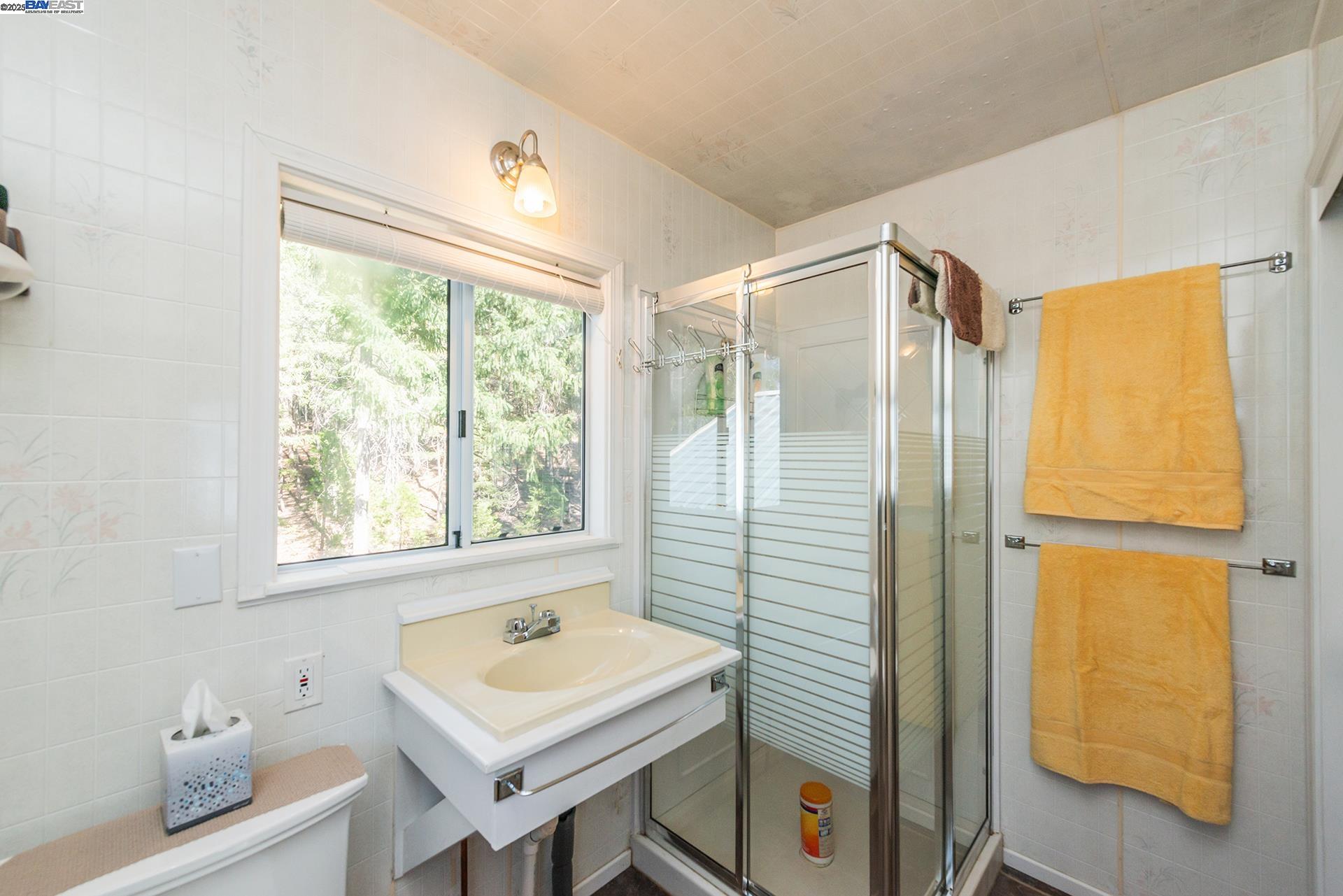 8341 East Side Road Trinity Center, CA 96091 - Photo 33 of 58 a bathroom with a sink a toilet and a shower