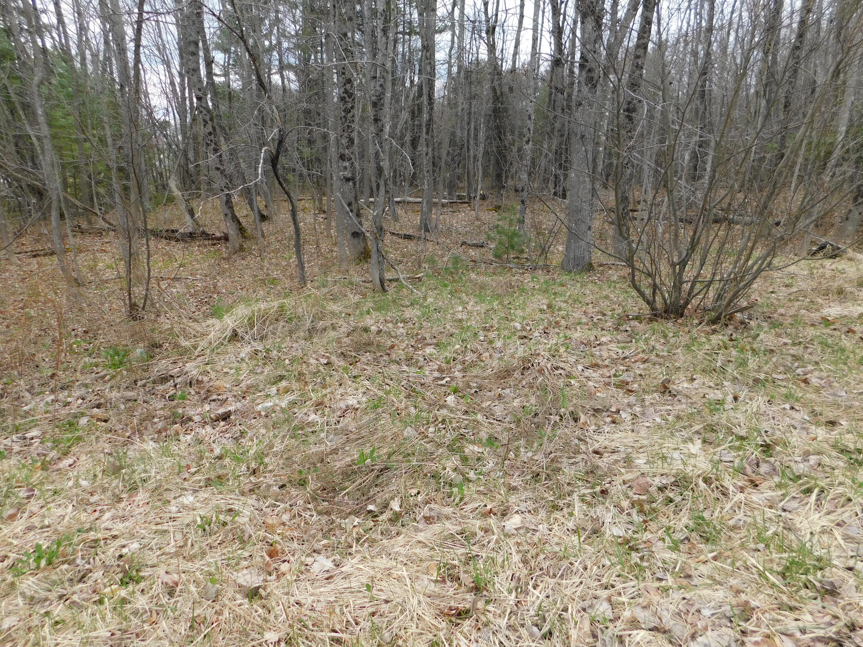 0 Dexter Road Cambridge, ME 04923 - Photo 5 of 11 DSCN4161