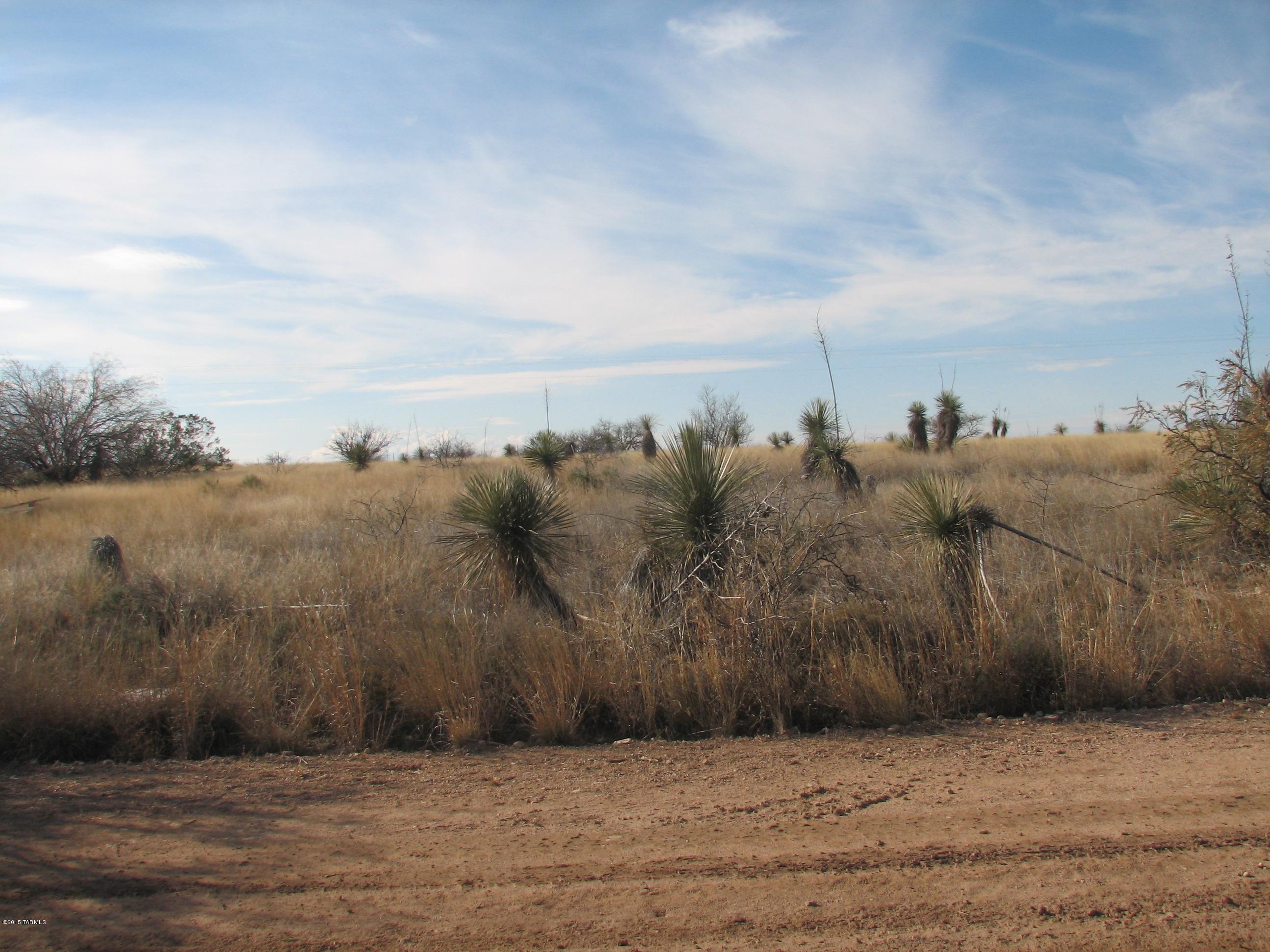 North Warren Road Benson, AZ 85602 - Photo 3 of 3