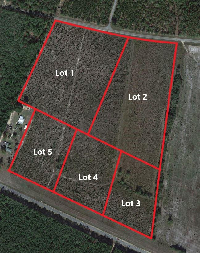 0 Highway 24 Sardis, GA 30456 - Photo 3 of 4