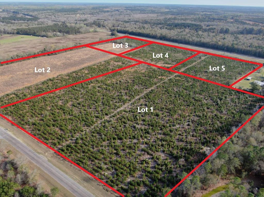 0 Highway 24 Sardis, GA 30456 - Photo 4 of 4