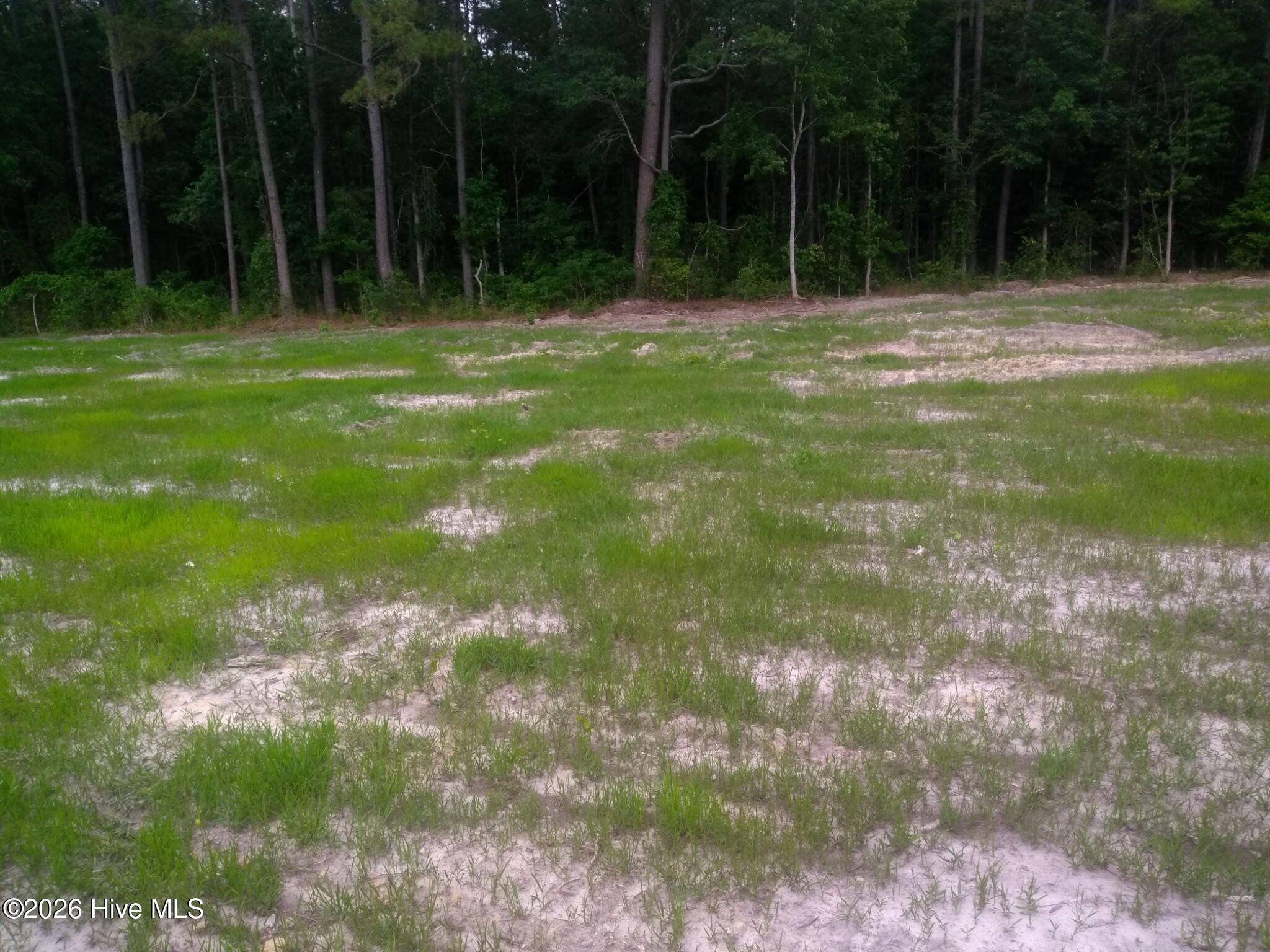 Tbd Pridgen Dead End Road La Grange, NC 28551 - Photo 2 of 4 IMG_20260518_132323 (1)