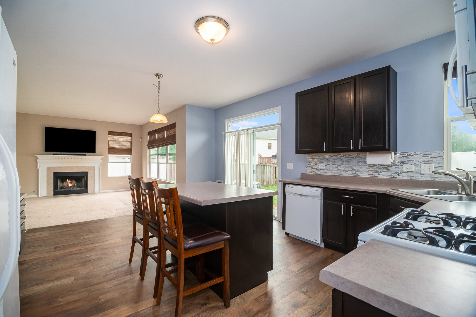 1405 Roth Drive Joliet, IL 60431 - Photo 4 of 24