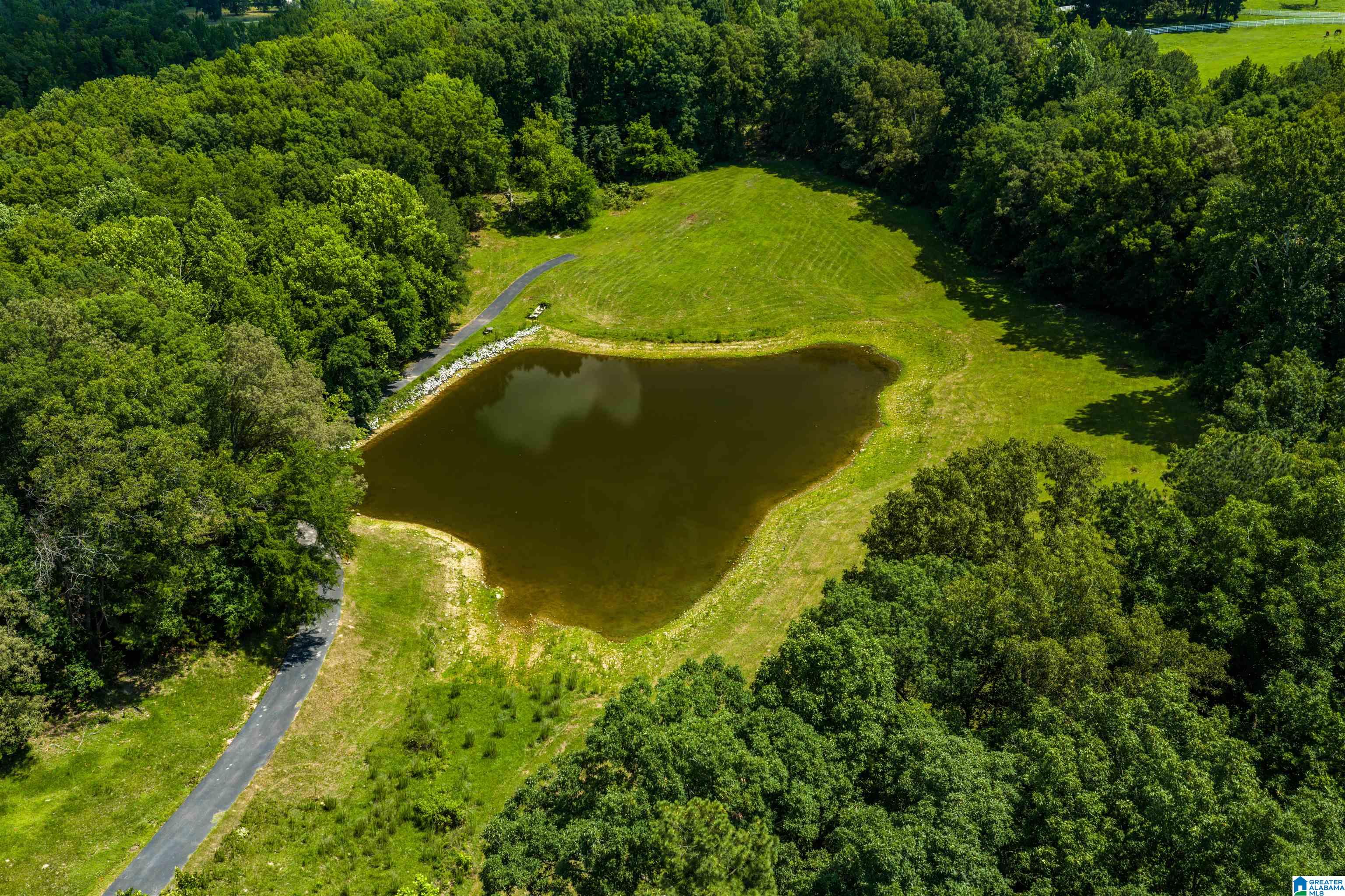 3640 Spring Creek Road Calera, AL 35040 - Photo 15 of 83