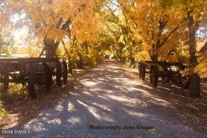 2090 Snow Road Mesilla, NM 88005 - Photo 50 of 90 50