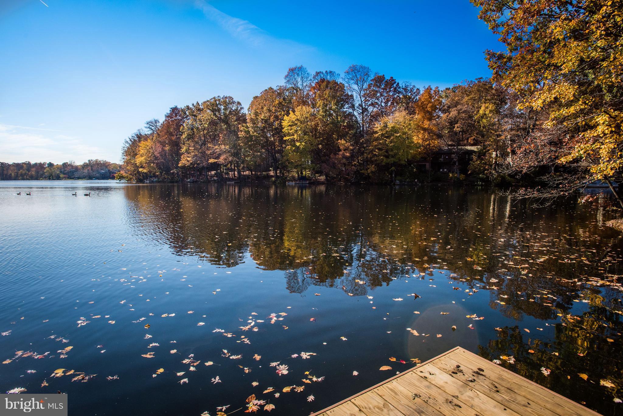 1965 Lakeport Way Reston, VA 20191 - Photo 3 of 28 a view of a lake with a mountain in the background