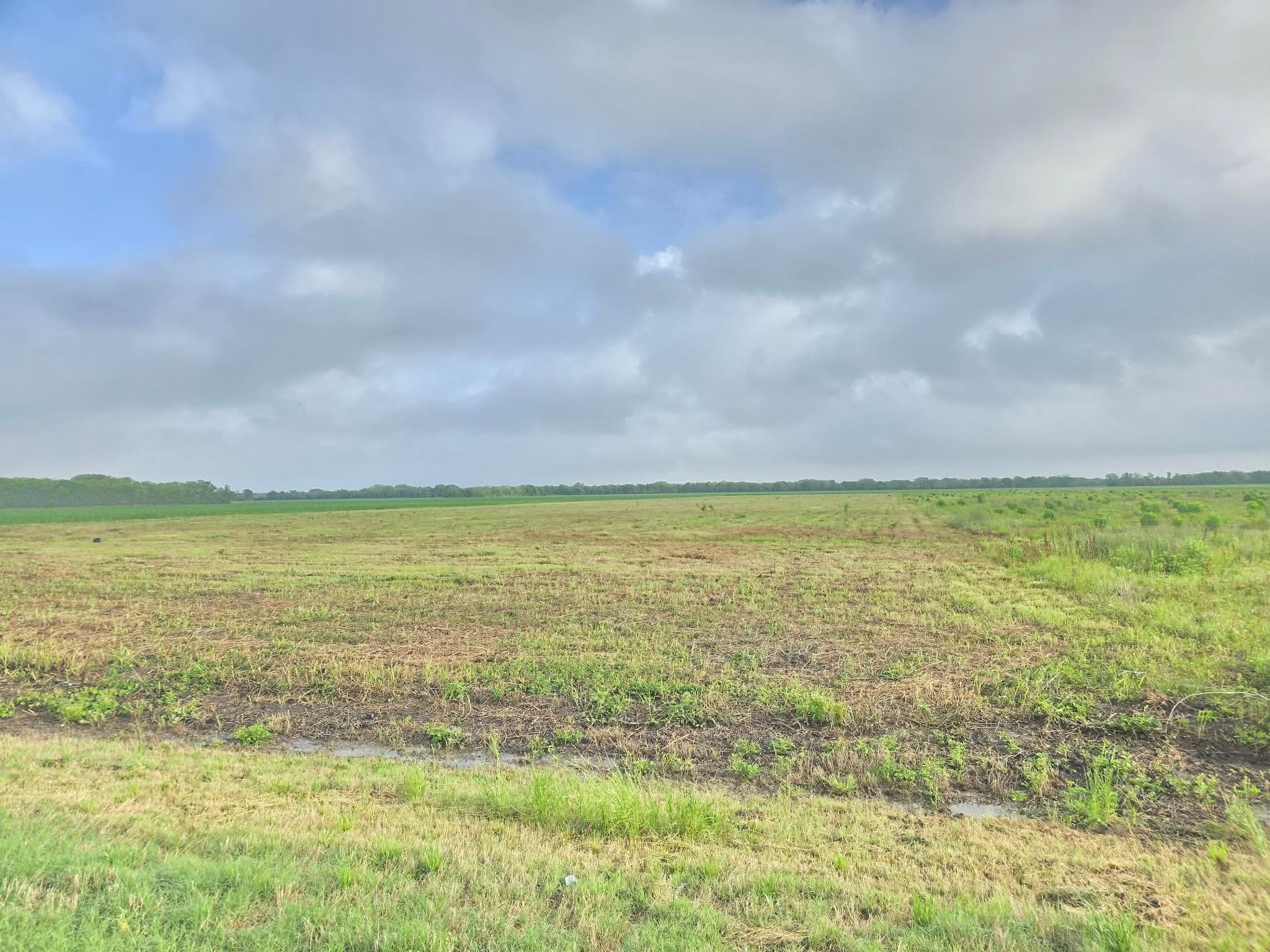 6932 Beard Road Needville, TX 77461 - Photo 5 of 8