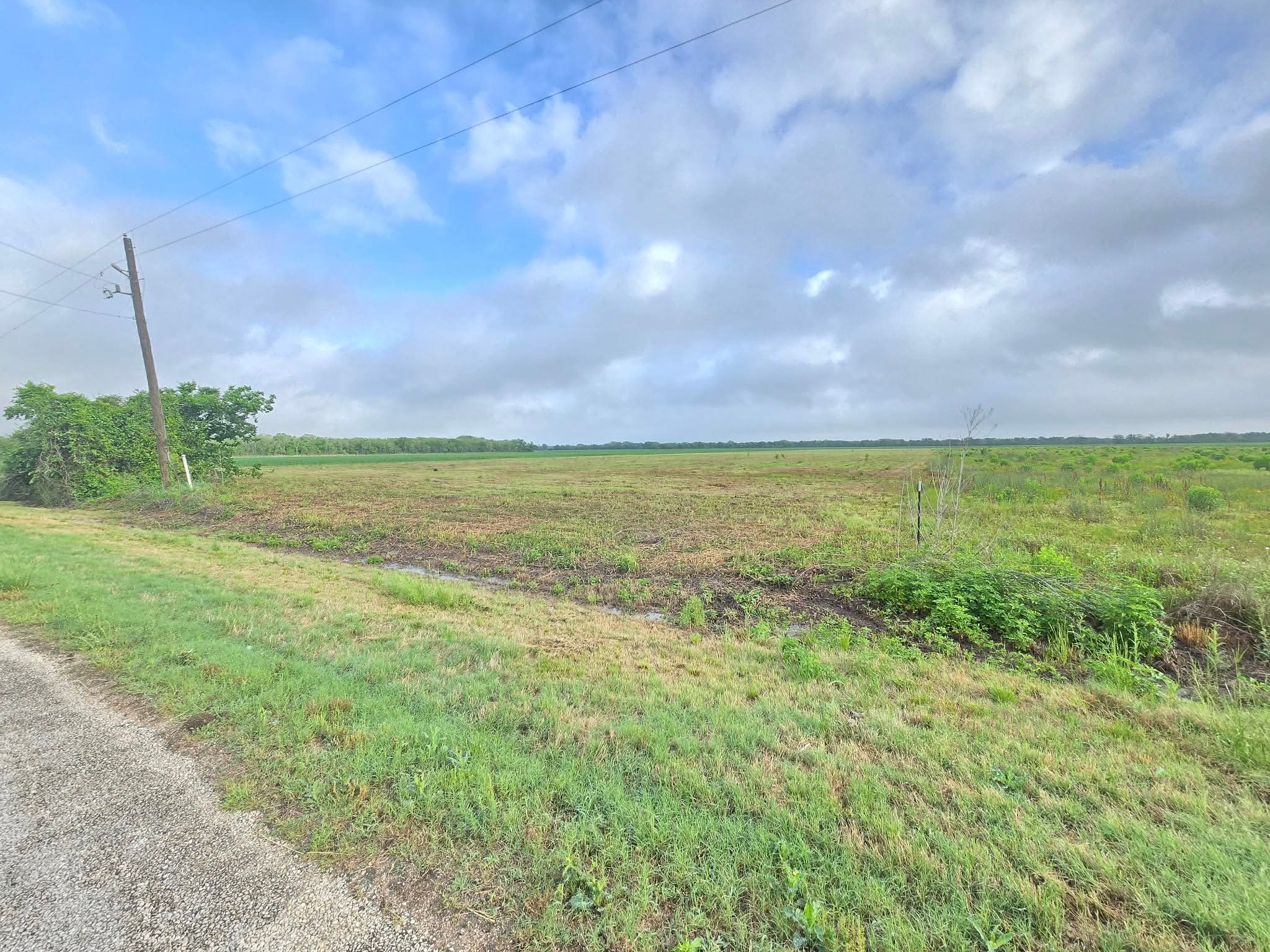 6932 Beard Road Needville, TX 77461 - Photo 6 of 8