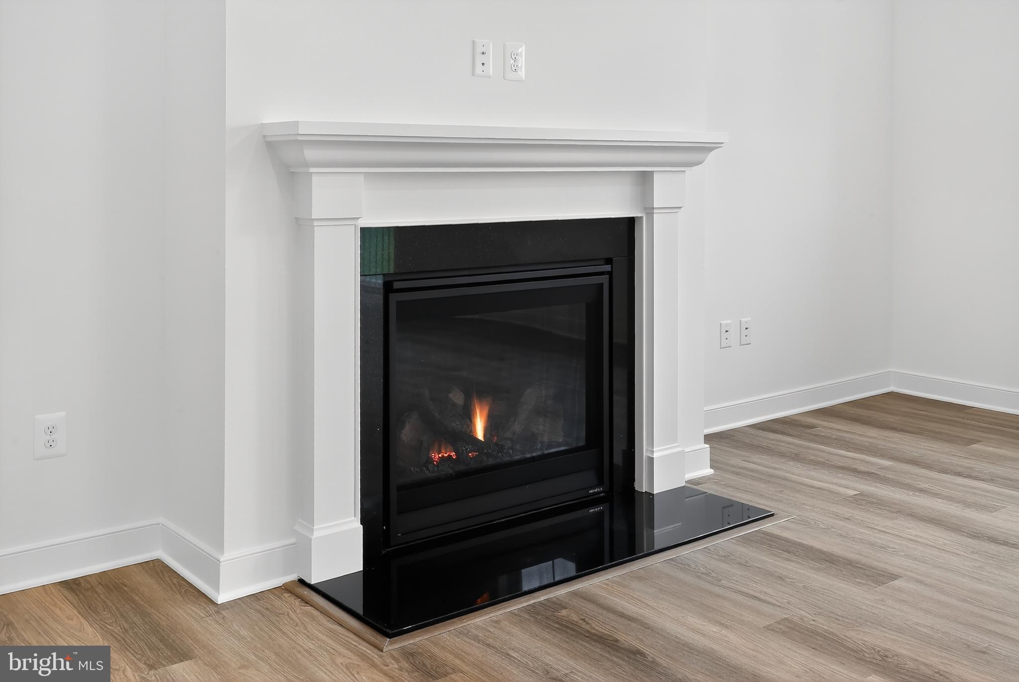 264 North Rdg Brk Drive Felton, DE 19943 - Photo 9 of 20 a living room with a fireplace