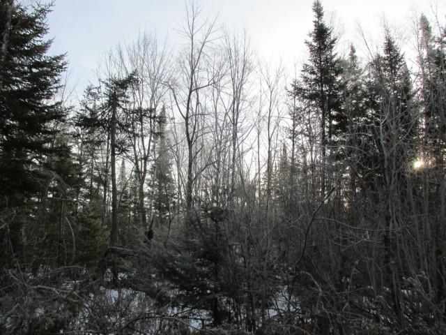 6396 Church Road Duluth, MN 55803 - Photo 3 of 10