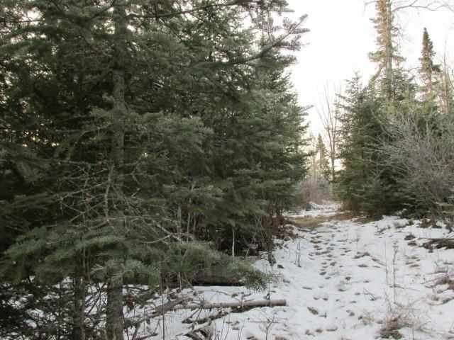 6396 Church Road Duluth, MN 55803 - Photo 4 of 10 Trail on west side of land