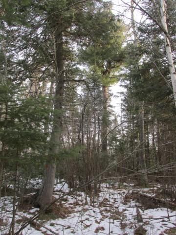 6396 Church Road Duluth, MN 55803 - Photo 6 of 10