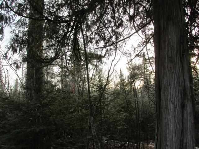 6396 Church Road Duluth, MN 55803 - Photo 8 of 10
