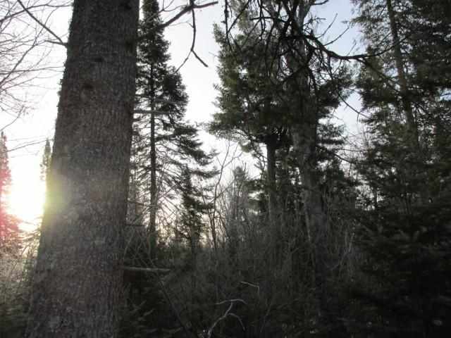 6396 Church Road Duluth, MN 55803 - Photo 9 of 10