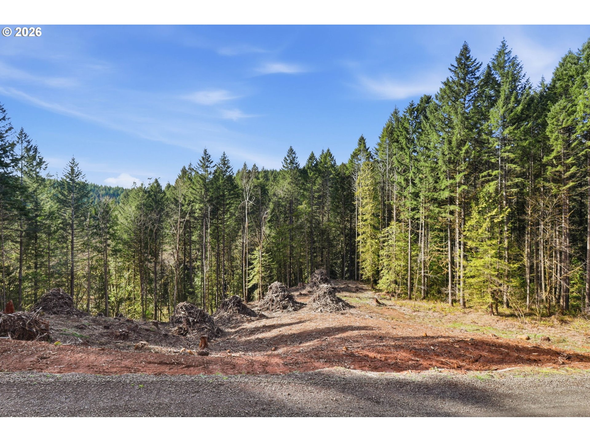 0 Northwest Green Mountain Road Banks, OR 97106 - Photo 35 of 36 a view of outdoor space with trees