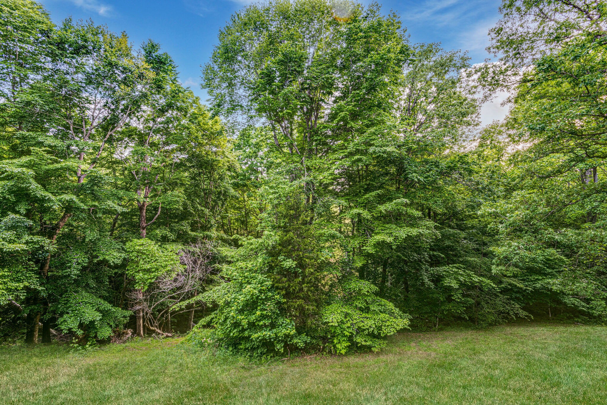 1515 Petty Road White Bluff, TN 37187 - Photo 33 of 38 Gallery Image 33