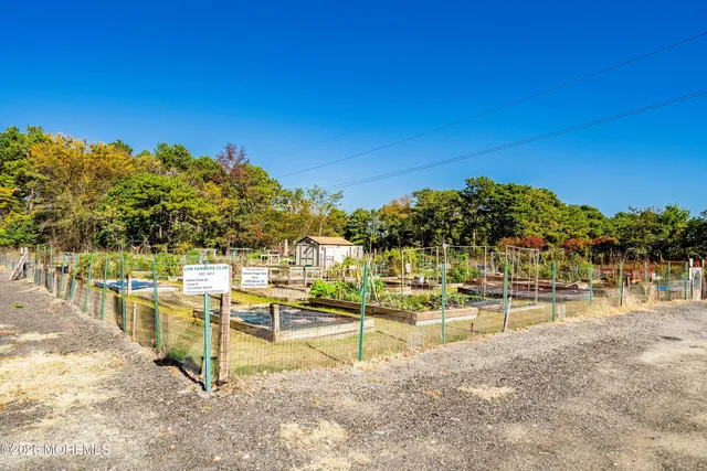 a view of a park with trees and grass