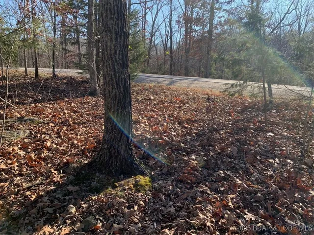 $7,000 | Lot 15 Glendale Court, Lake Ozark, MO 65049