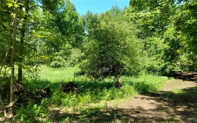 $199,000 | 1273 Newport-Gray Road, Newport, NY 13416