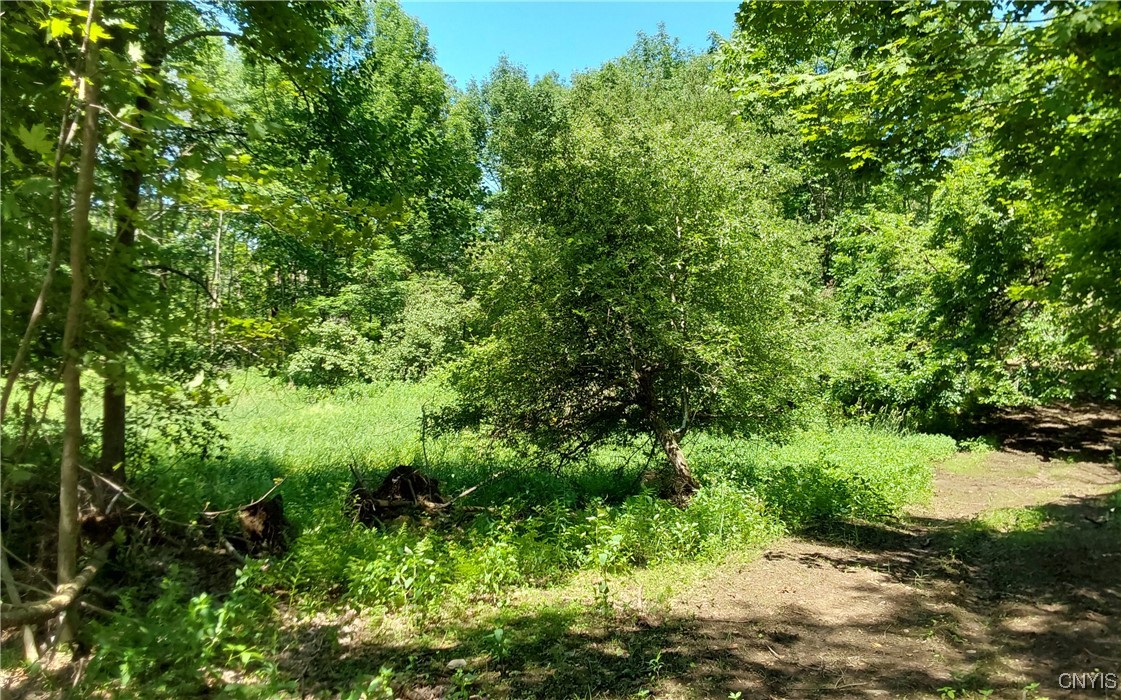 1273 Newport-Gray Road Newport, NY 13416 - Photo 11 of 25