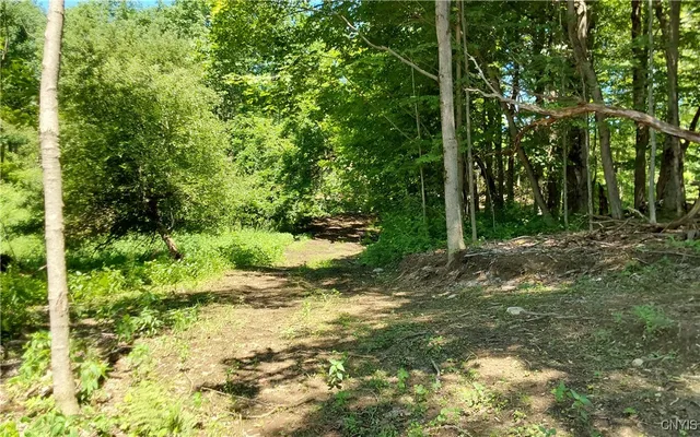 $199,000 | 1273 Newport-Gray Road, Newport, NY 13416