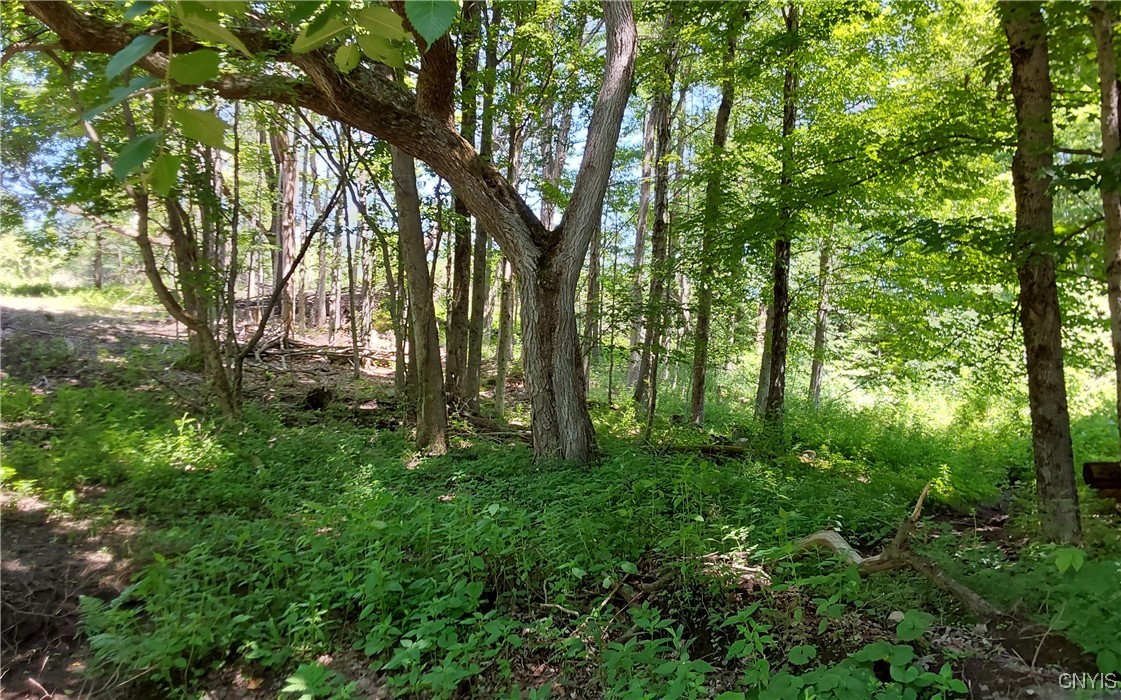 1273 Newport-Gray Road Newport, NY 13416 - Photo 13 of 25