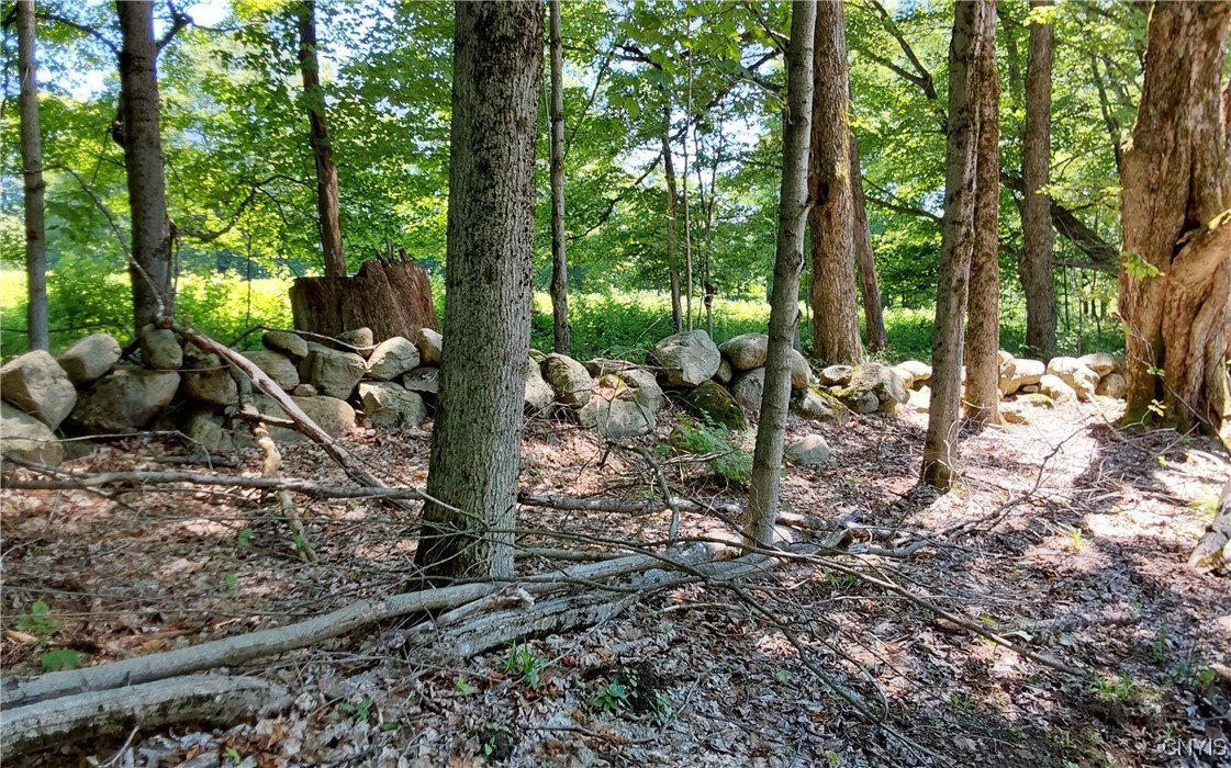 1273 Newport-Gray Road Newport, NY 13416 - Photo 14 of 25