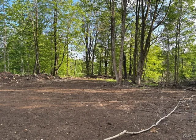 $199,000 | 1273 Newport-Gray Road, Newport, NY 13416