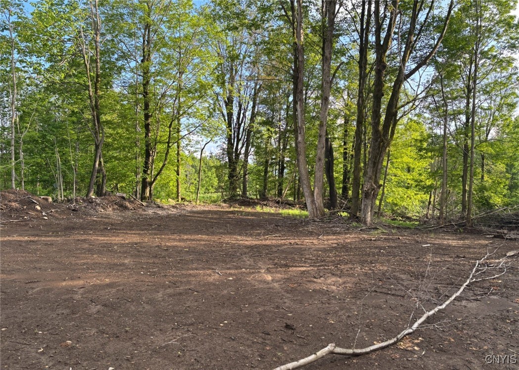 1273 Newport-Gray Road Newport, NY 13416 - Photo 16 of 25