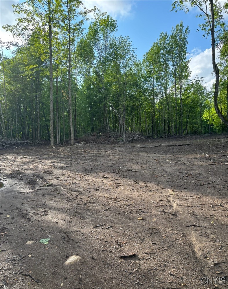 1273 Newport-Gray Road Newport, NY 13416 - Photo 17 of 25