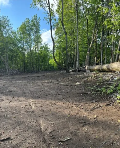 $199,000 | 1273 Newport-Gray Road, Newport, NY 13416