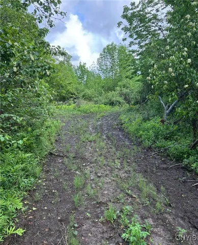 $199,000 | 1273 Newport-Gray Road, Newport, NY 13416