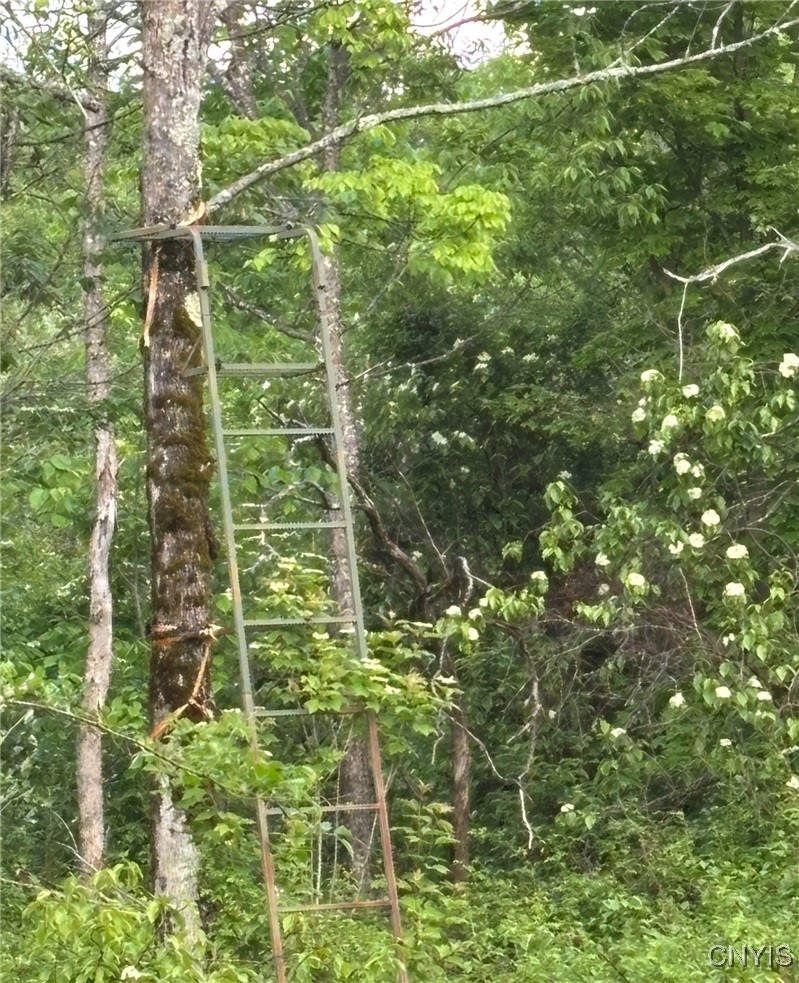 1273 Newport-Gray Road Newport, NY 13416 - Photo 21 of 25