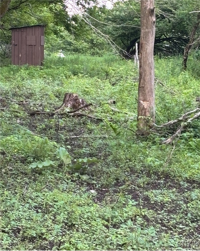 1273 Newport-Gray Road Newport, NY 13416 - Photo 22 of 25