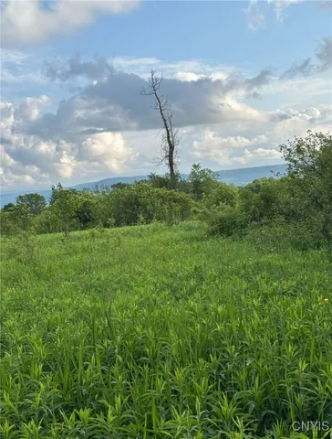 $199,000 | 1273 Newport-Gray Road, Newport, NY 13416