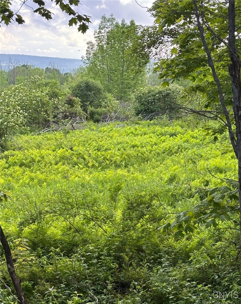 1273 Newport-Gray Road Newport, NY 13416 - Photo 24 of 25