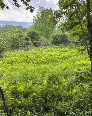 $199,000 | 1273 Newport-Gray Road, Newport, NY 13416