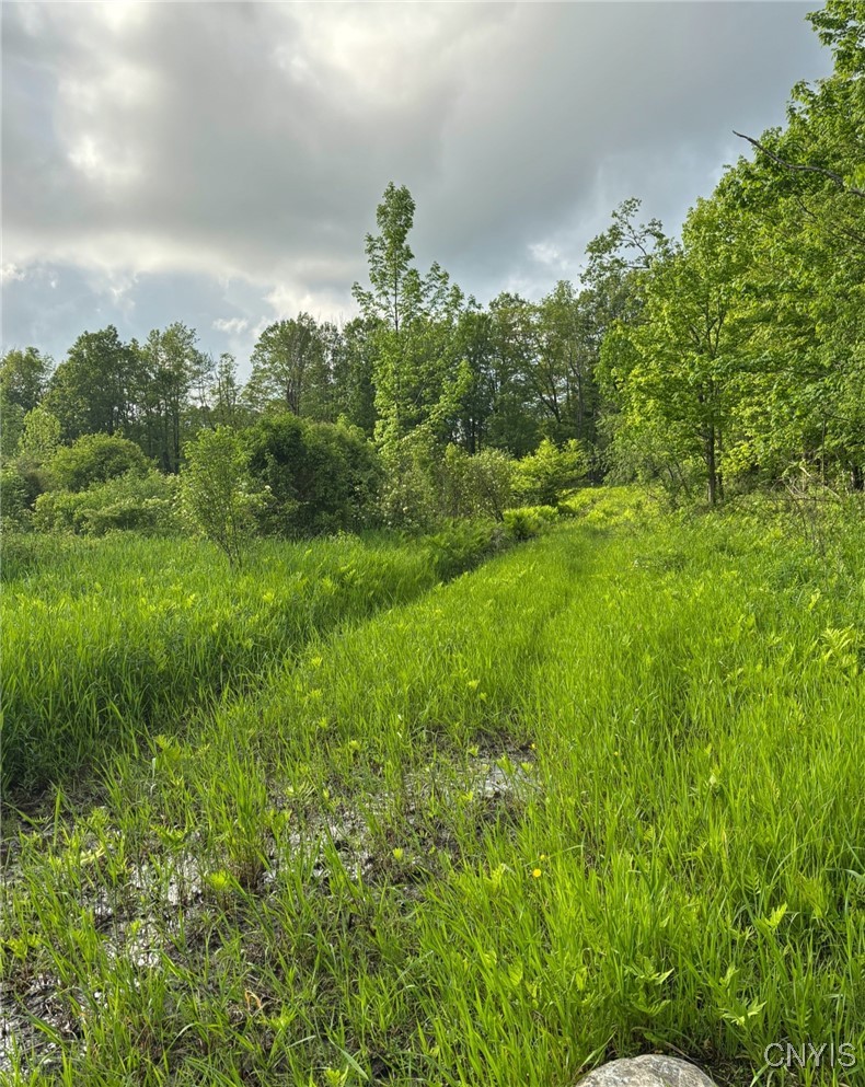 1273 Newport-Gray Road Newport, NY 13416 - Photo 25 of 25