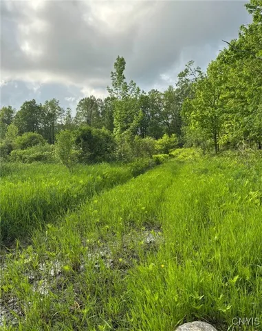 $199,000 | 1273 Newport-Gray Road, Newport, NY 13416