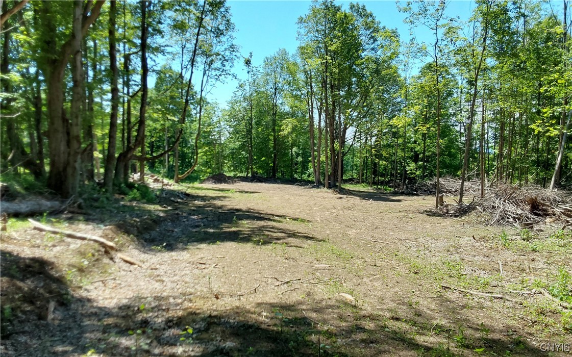 1273 Newport-Gray Road Newport, NY 13416 - Photo 3 of 25