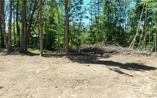 $199,000 | 1273 Newport-Gray Road, Newport, NY 13416