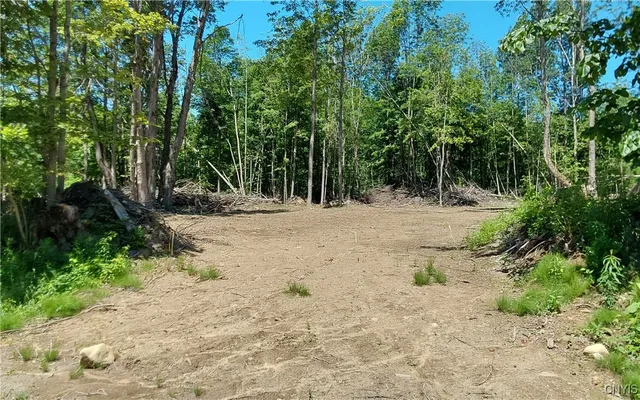 $199,000 | 1273 Newport-Gray Road, Newport, NY 13416