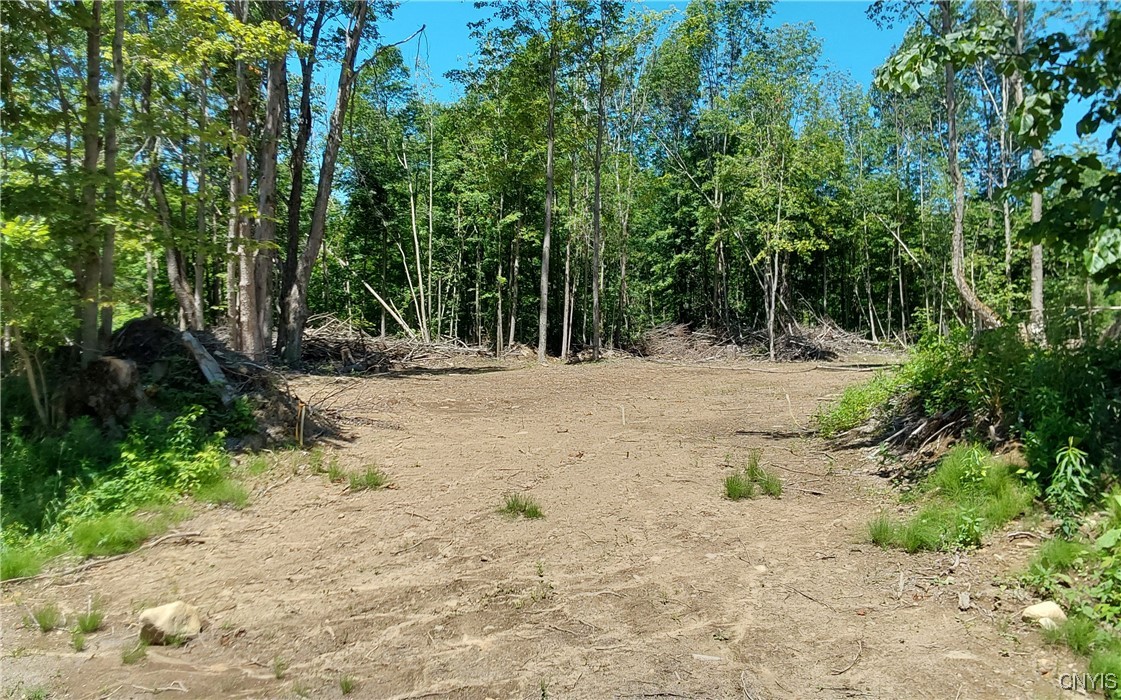 1273 Newport-Gray Road Newport, NY 13416 - Photo 7 of 25