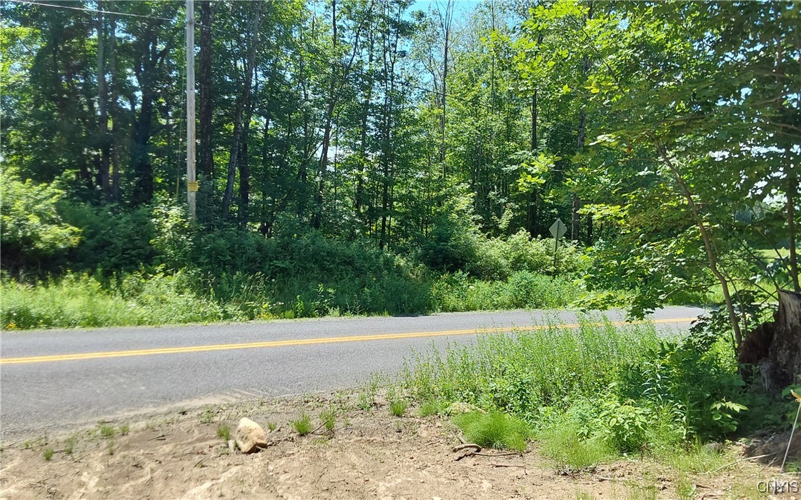 1273 Newport-Gray Road Newport, NY 13416 - Photo 8 of 25