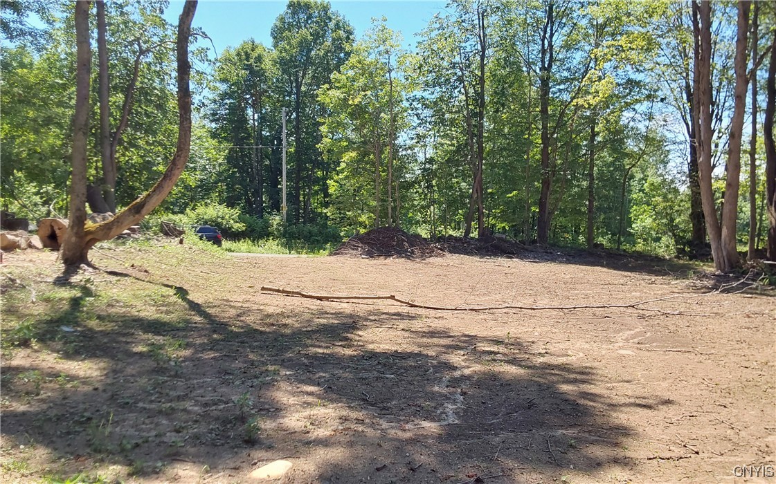 1273 Newport-Gray Road Newport, NY 13416 - Photo 9 of 25